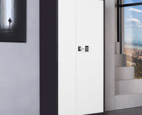 2 Doors two Drawers password cabinet